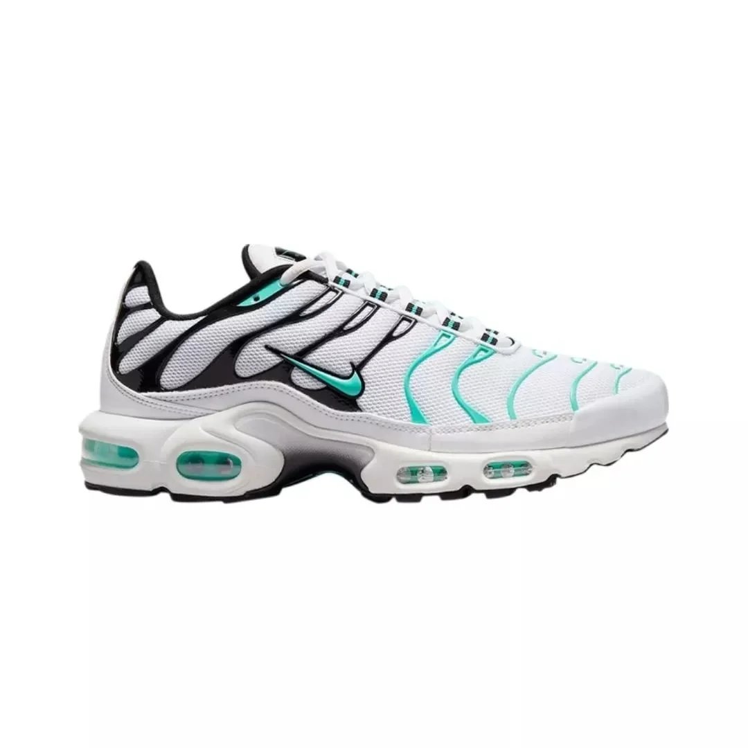 Nike Air Max TN model 33